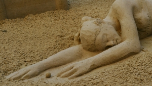 Münster Mittendrin 2015