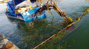 Hansa Hafen Haverkamp