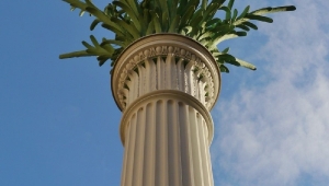 Palmensäule
