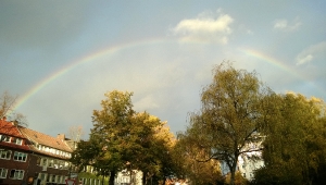 meine umwelt - momente