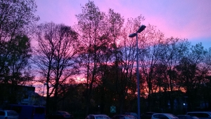 Nov13 - 07:33h - auf dem Parkplatz_1